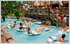 Disney World Typhoon Lagoon Water Park Attractions